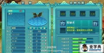 女娲宠物爆料视频大全下载,揭秘神秘宠物背后的故事